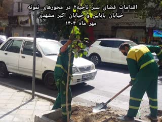 *اقدامات اجرایی فضای سبز ناحیه۲ در محورهای نمونه سطح محدوده*